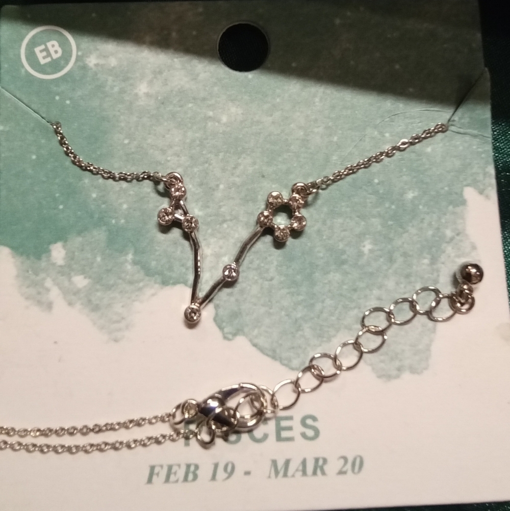 Elegant Silver Pisces Necklace - Picture 2 of 3